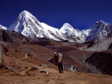 Three_Passes_44