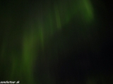 Gronsko-2456_1