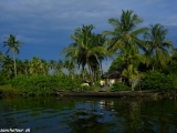 Na výlete loďou vo vodnom ekosystéme Backwaters...