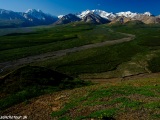 NP Denali...