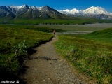 Pred nami Mt. Denali...