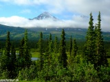Old Denali Highway...