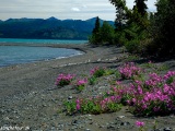 Kluane Lake Yukon...