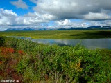 Old Denali Highway...