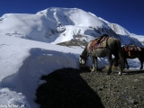 Thorong Peak, 6144 m.n.m...