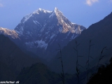 Modrá hora Nilgiri z Tatopani...