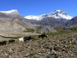 Annapurna_057