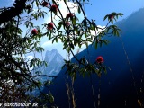 Jar v Himalájach...