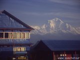 Na treku, v pozadí Dhaulagiri...