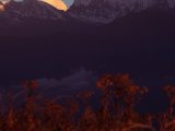 Ráno na Dhaulagiri z Poon Hillu...