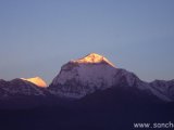 Ráno na Dhaulagiri z Poon Hillu...