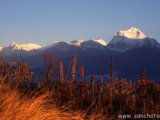 Ráno na Dhaulagiri z Poon Hillu...