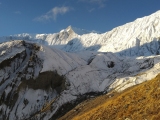 SAM_3971
