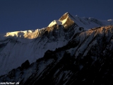 Annapurna-243