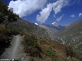 Annapurna-399