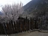 Annapurna-330