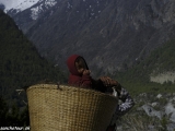 Annapurna-461