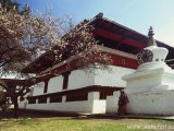 o_bhutan_08