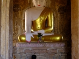Budha...