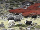 baruntse_05