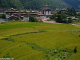Thimpu...