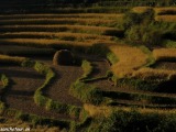 Bhutan-015