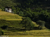 Bhutan-018