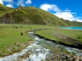 Tibet...