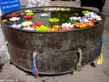 China Tibet-685