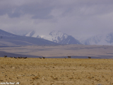 China-Tibet-Nepal-491