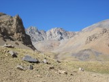 img_7153