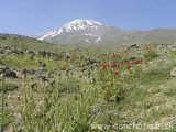 Irán - Damavand...