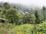 Everest-001-1