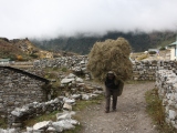 Everest-001-23