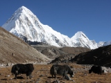Everest-001-57