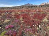 Laurgarvegur-30