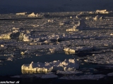 Gronsko-425