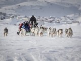 4_A-dog-sled-on-the-sea-ice-near-Tasiilaq-in-East-Greenland
