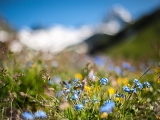 grossglockner-strecha-rakuska_002