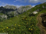 Grossglockner-80