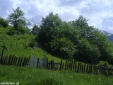 Gruzinsko-258