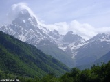 Gruzinsko-341