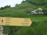 Gruzinsko-219