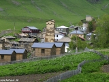 Gruzinsko-335