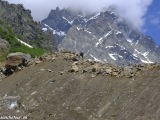 Gruzinsko-449