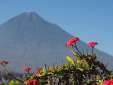 02_Antigua