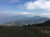 24_Acatenango