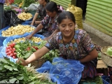Guatemala-30