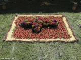 Guatemala-24