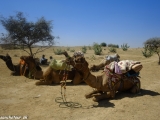 Ideme na safari....